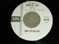 DON LEE WILSON -  WHAT'D I SAY  / T'AINT FUNNY     :  1964  US ORIGINAL White Label Promo 7 Single 