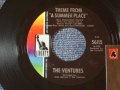 56115 THEME FROM A SUMMER PLACE / A SUMMER LOVE  