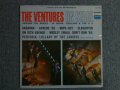 THE VENTURES ON STAGE  Blue With Black Print Label