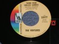 55977 THEME FROM "ENDLESS SUMMER" / STRAWBERRY FIELDS FOREVER   Audition Label