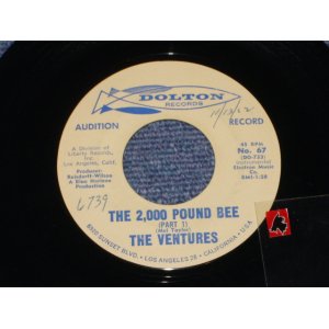 画像: THE 2,000 POUND BEE Pt.1 / THE 2,000 POUND BEE Pt.2  Audition Label 