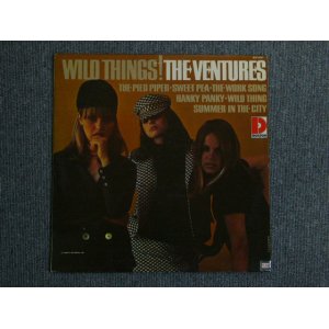 画像: WILD THINGS! "D" Mark Label 