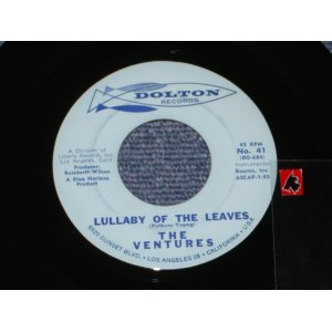 画像:  LULLABY OF THE LEAVES / GINCHY  Glossy  Light Blue Label 