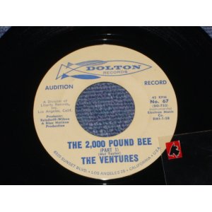 画像: THE 2,000 POUND BEE Pt.1 / THE 2,000 POUND BEE Pt.2  Audition Label 